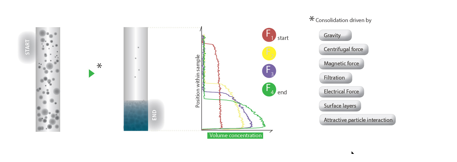 Consolidation measurement